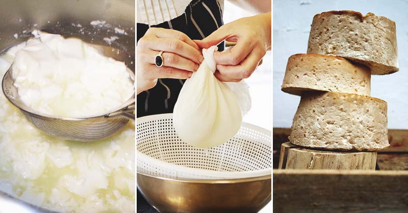 5 Steps to Start a Homemade Cheese-Making Routine