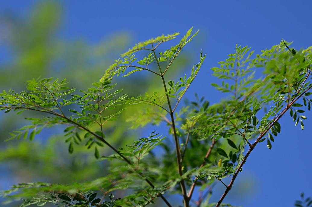 Lorain, Ohio. | Facebook