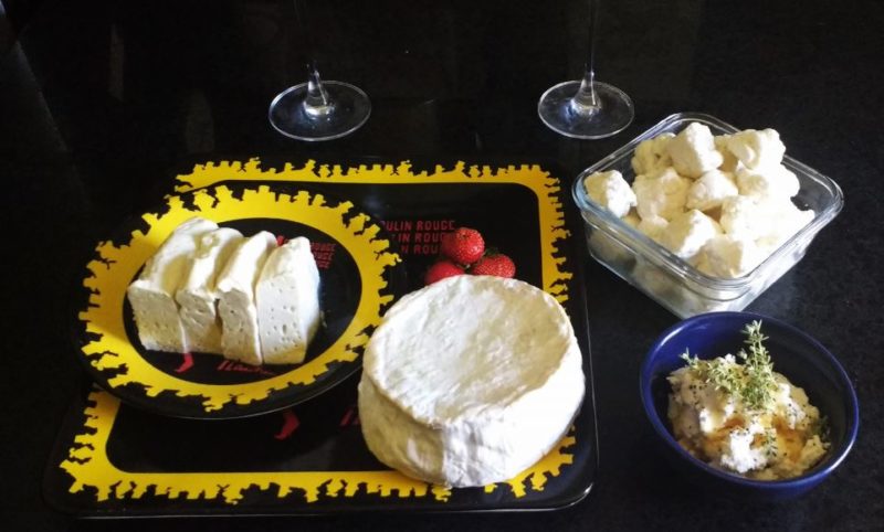 5 Steps to Start a Homemade Cheese-Making Routine