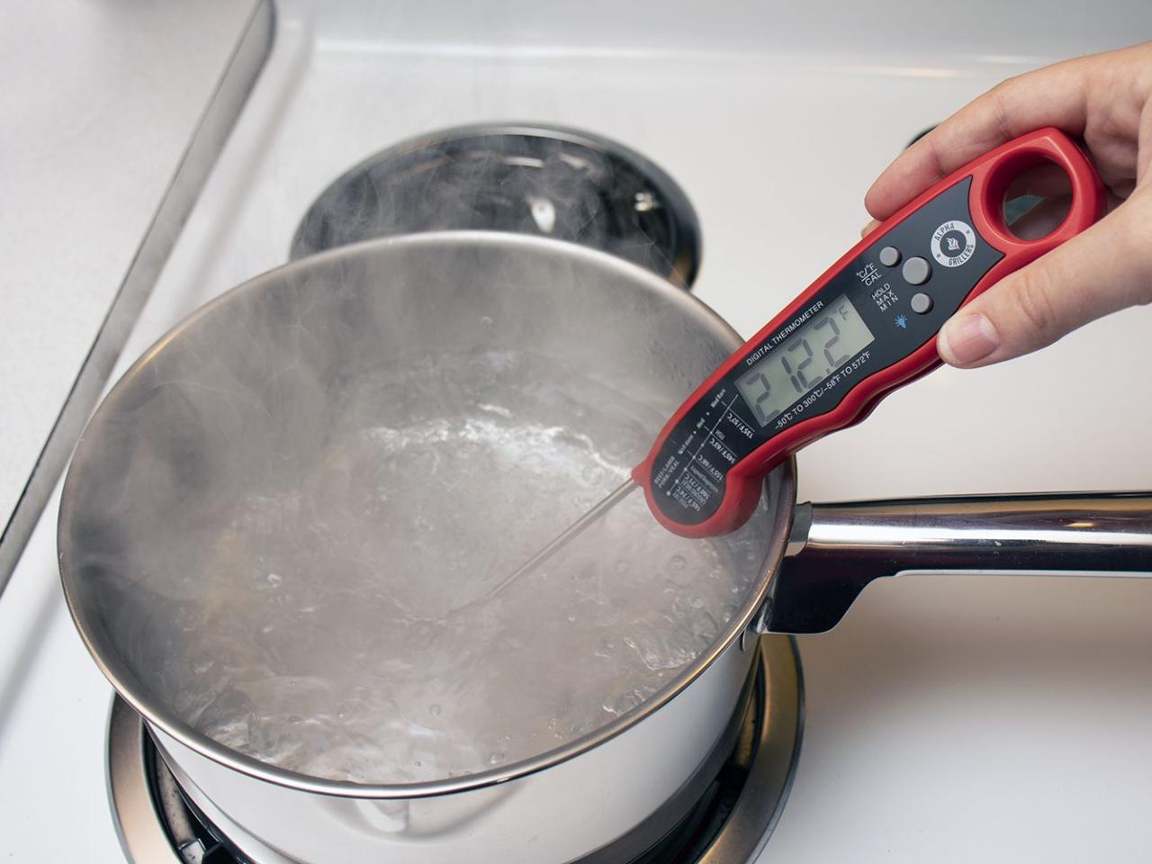 How to Calibrate a Meat Thermometer: Different Methods Explained
