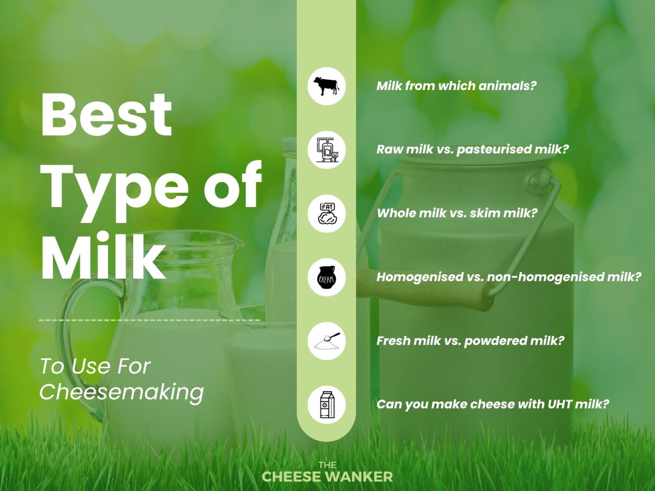 What is the Best Type of Milk for Cheesemaking?