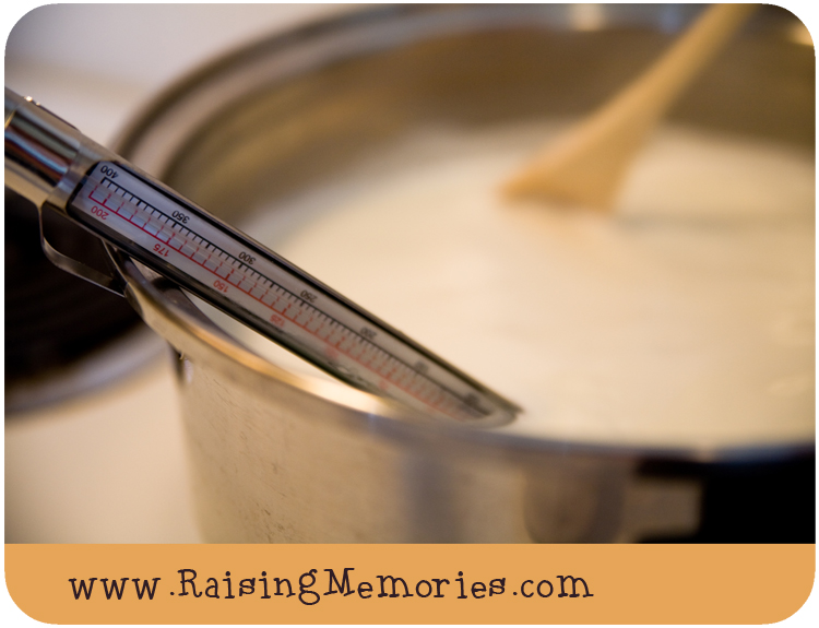 How to Make Cheese at Home: 5 Easy Recipes How to Make Cheese at Home: 5 Easy Recipes