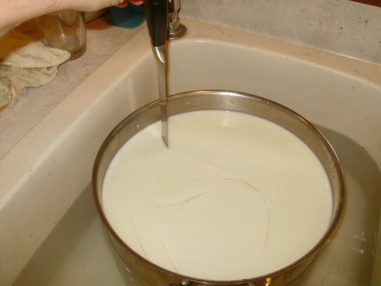 Breaking of the curds by hand into the pieces the size of peas ... Breaking of the curds by hand into the pieces the size of peas ...