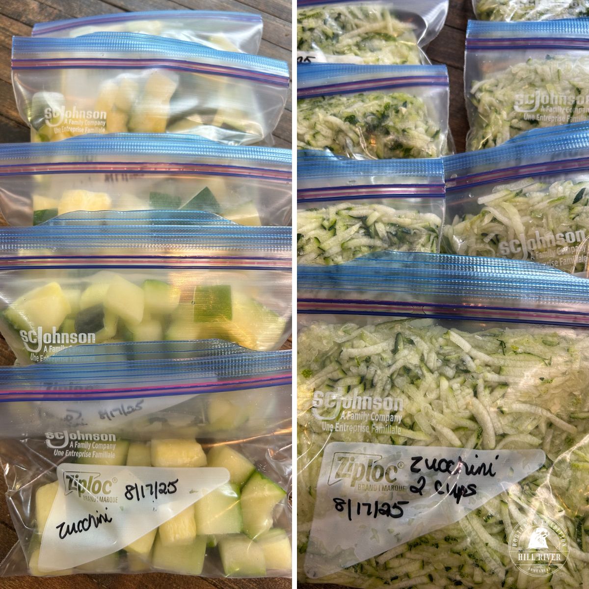 Freeze-Drying Process (Lyophilization) | BioRender Science Templates