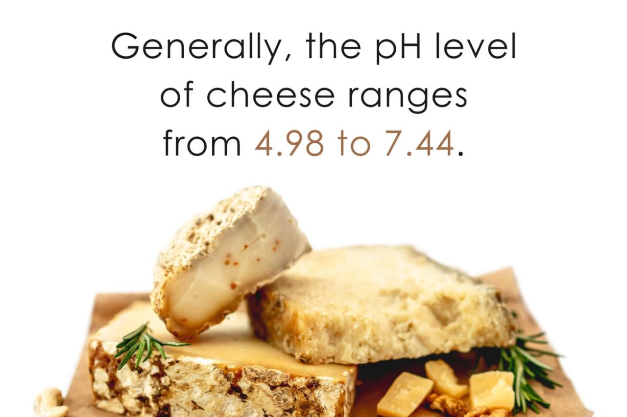 Is Cheese Acidic or Alkaline? - Tastylicious