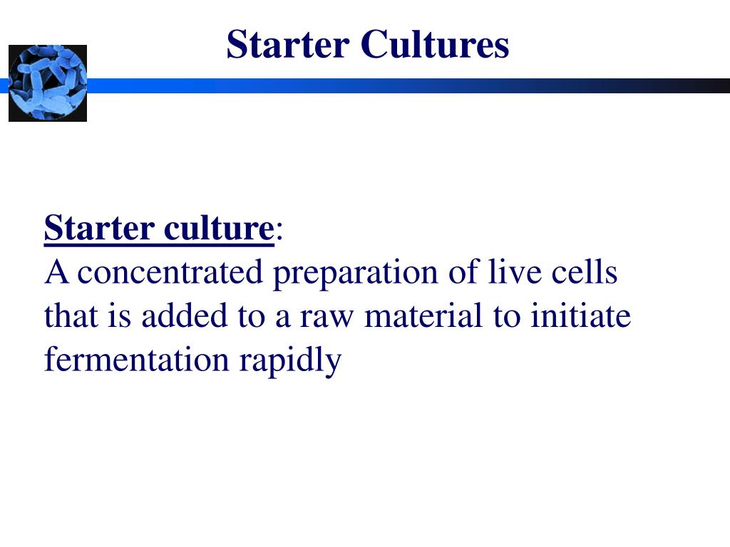 PPT - Starter Cultures PowerPoint Presentation, free download - ID:770503