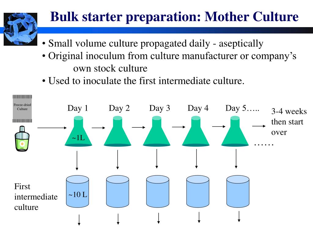 PPT - Starter Cultures PowerPoint Presentation, free download - ID:770503